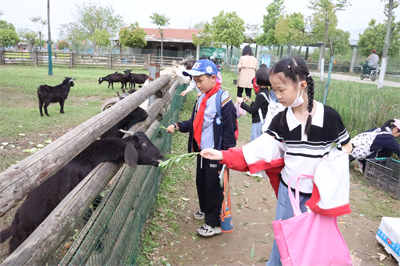 武汉小学生秋游05.jpg