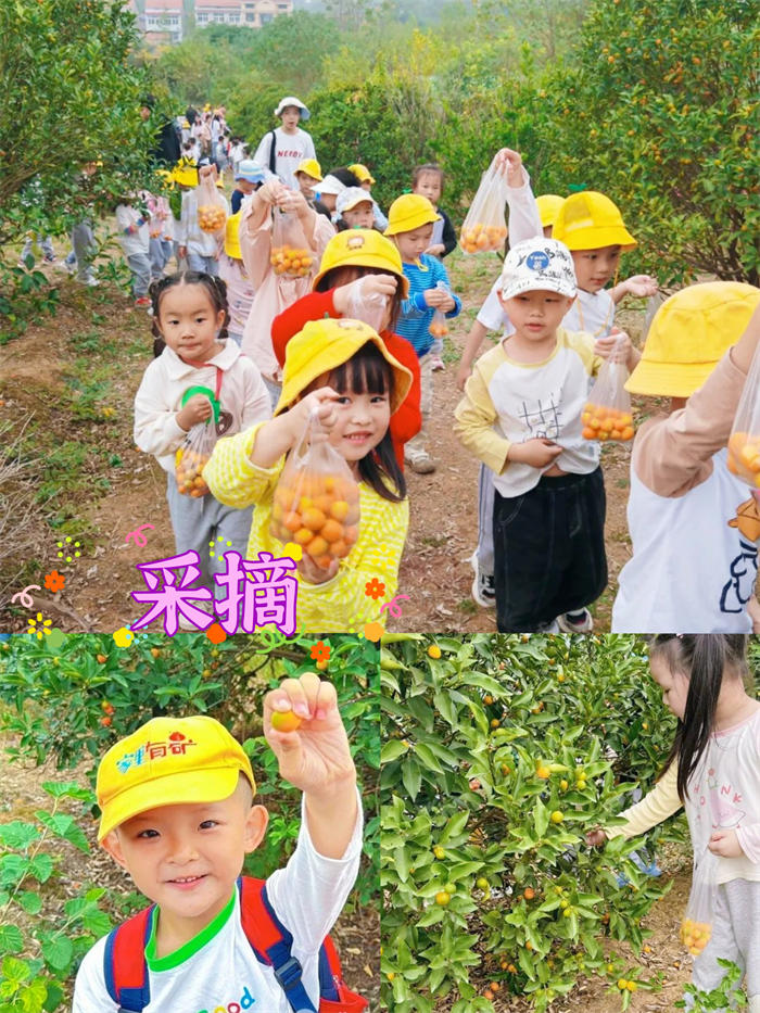 微信图片_2025-06-20_171531_055.jpg