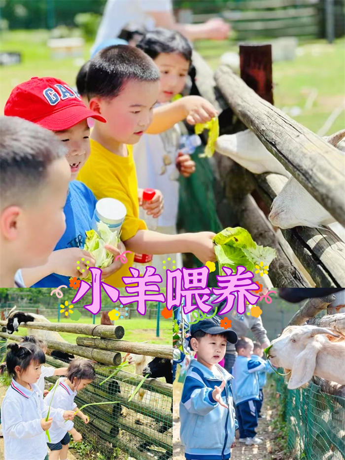 微信图片_2025-06-20_171508_673.jpg