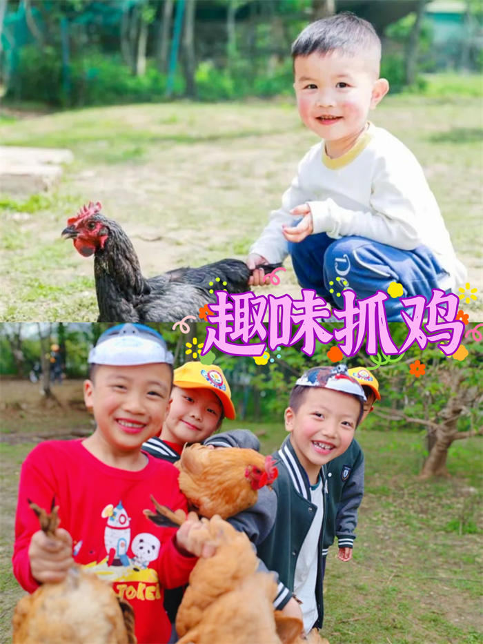 微信图片_2025-06-20_171516_463.jpg