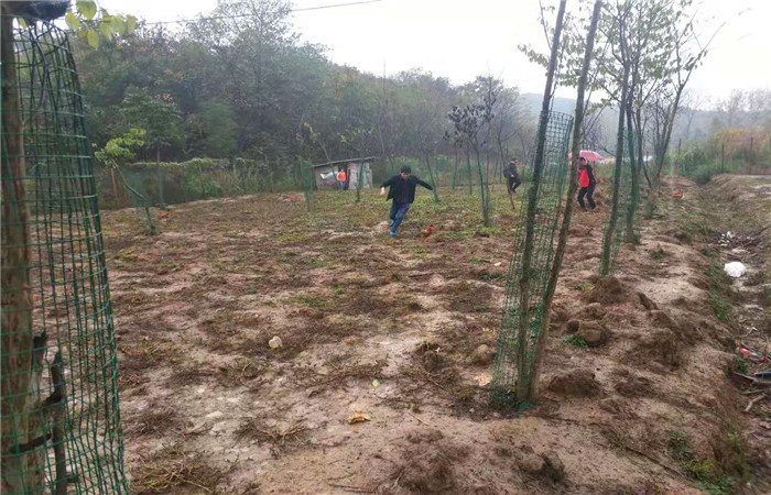 武汉农家乐野炊抓鸡